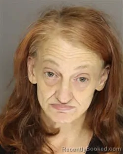 Mugshot of SUSAN ELIZABTH WILLIAMS booked in Moore County, North Carolina on April 25, 2026