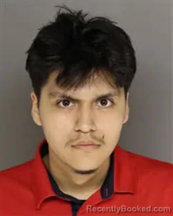 Mugshot of SANTIAGO HARNANDEZ ESCAMILLA booked in Moore County, North Carolina on June 20, 2026