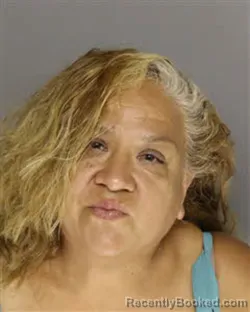 Mugshot of ERICA GUZMAN CASTRO booked in Moore County, North Carolina on June 29, 2026