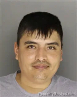 Mugshot of MARIO H ZAMORA booked in Moore County, North Carolina on July 15, 2026
