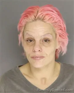 Mugshot of ERICA SUE COLEY