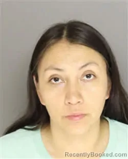 Mugshot of ANAYELI NM MEJIA-FLORES booked in Moore County, North Carolina on June 30, 2026