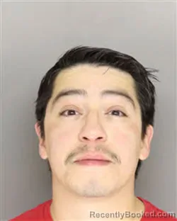 Mugshot of MARTIN ROY NIEVES