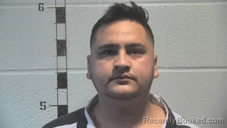 Mugshot of LUIS REYNALDO PEREZ-PORRAS