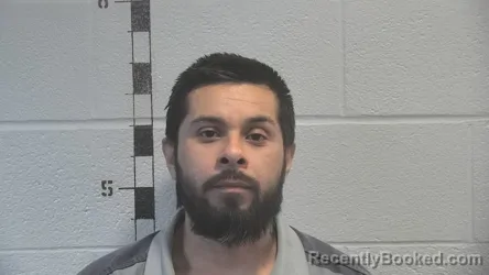 Mugshot of JOSE FELIPE CONTRERAS