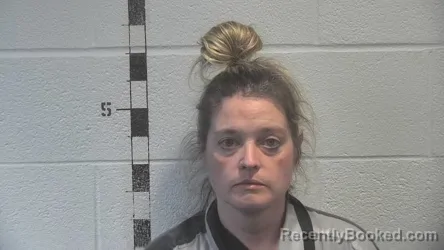 Mugshot of LINDSEY RAE HAYES