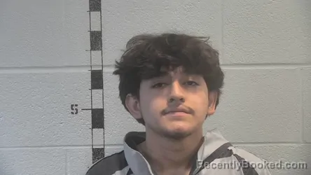 Mugshot of ALAN GRAMAJO booked in Shelby County, Kentucky on March 20, 2026