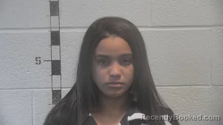 Mugshot of MIRELIS VAILLANT LIRANZA booked in Shelby County, Kentucky on May 3, 2026