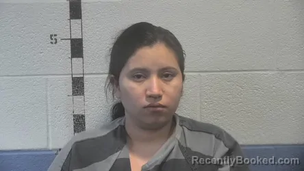 Mugshot of YAQUELIN M HERNANDEZ- ESCOBAR booked in Shelby County, Kentucky on May 12, 2026