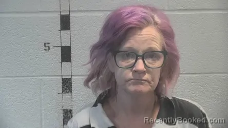 Mugshot of COLEEN ELIZABETH SEALES booked in Shelby County, Kentucky on June 8, 2026
