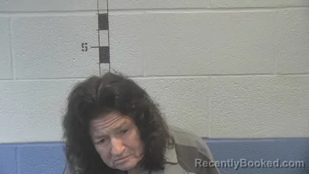 Mugshot of TERRI LYNN POWER booked in Shelby County, Kentucky on June 14, 2026