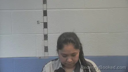 Mugshot of ELENA DE LA CRUZ MORENTE booked in Shelby County, Kentucky on June 14, 2026