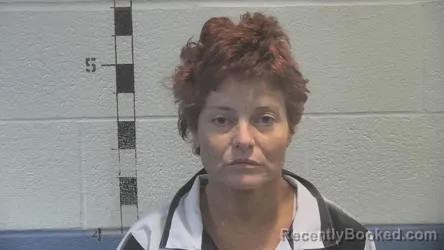 Mugshot of ASHLEY NICOLE HECK booked in Shelby County, Kentucky on June 25, 2026