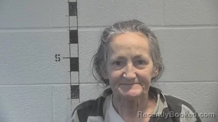 Mugshot of ANDREA LYNN CARROLL booked in Shelby County, Kentucky on July 2, 2026