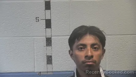 Mugshot of MELECIO MALDONADO ROCAEL booked in Shelby County, Kentucky on July 29, 2026