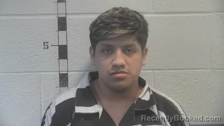 Mugshot of Frisly Yovani Castro Lopez booked in Shelby County, Kentucky on August 19, 2026