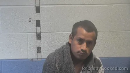 Mugshot of Jose Alfredo-Perez booked in Shelby County, Kentucky on September 25, 2026