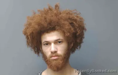 Mugshot of DONTAVIOUS MCKINNEY