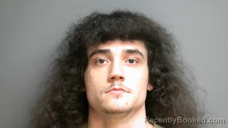 Mugshot of JEDIDIAH STAPLES