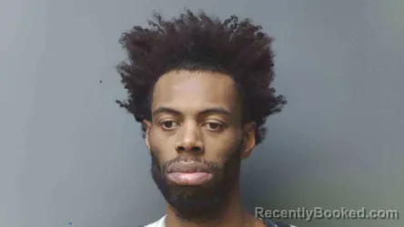 Mugshot of ANDREW JOHNSON