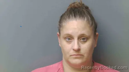 Mugshot of DANA MINOR