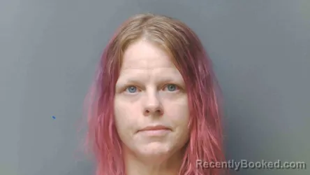 Mugshot of ASHLEY HICKS