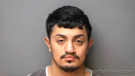 Mugshot of SALVADOR RAMIREZ