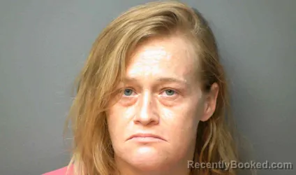 Mugshot of ASHLEY DONNESTAD