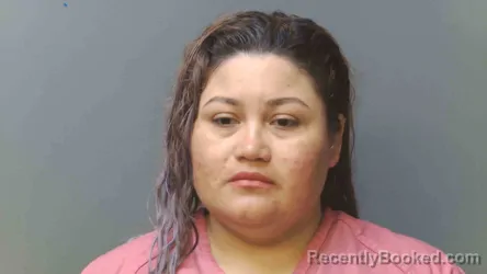Mugshot of RUTH RAMIREZ ESCOBAR