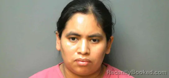 Mugshot of MICAELA MANUEL