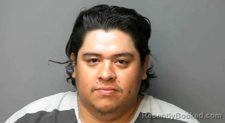 Mugshot of LUIS ORLANDO
