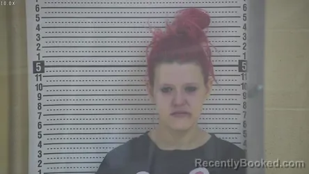 Mugshot of BREANNA GAIL DICKSON