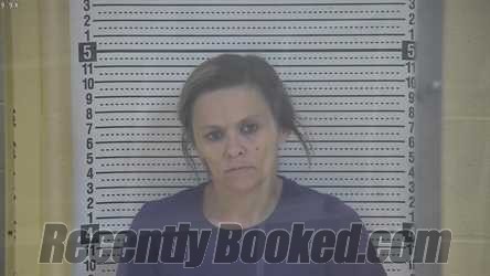 Booking photo from Taylor County, Kentucky