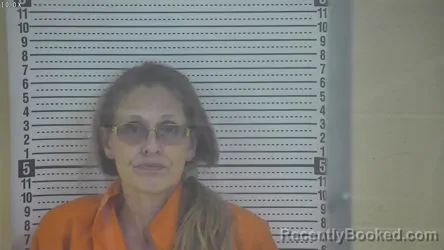 Mugshot of CATINA ROBIN SIMMONS