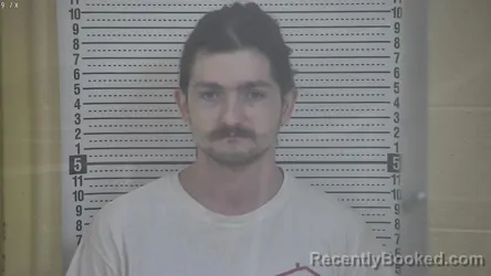 Mugshot of DAVID K COLE