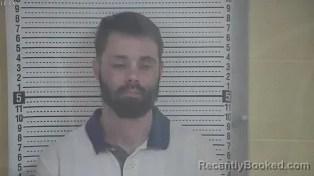 Mugshot of DYLLAN K MCDONALD