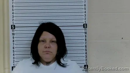 Mugshot of ELENA M. BELLAMY HERNANDEZ booked in Taylor County, Kentucky on August 3, 2026