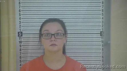 Mugshot of HEATHER NICOLE JOHNSON