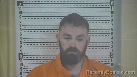 Mugshot of JORDAN M ALFARO