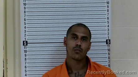 Mugshot of JOSHUA GREEN booked in Taylor County, Kentucky on July 1, 2026