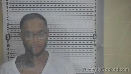 Mugshot of JEROME L HODGES