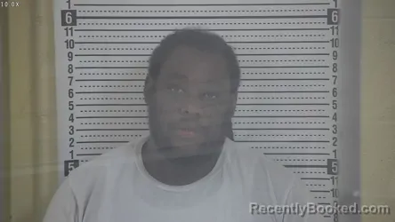 Mugshot of JOHNNY J PAYNE