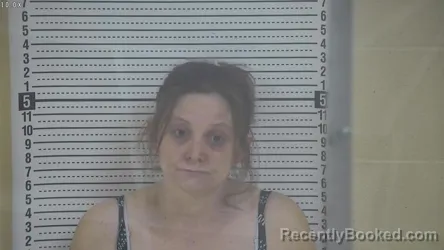 Mugshot of MONICA MARIE MCGABIC
