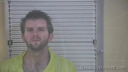 Mugshot of MEL D WILLIAMS