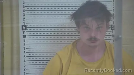 Mugshot of TAKYIA S COX booked in Taylor County, Kentucky on April 4, 2026