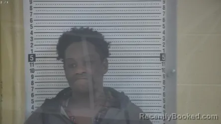 Mugshot of TANYA JOHNSON