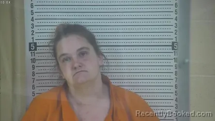 Mugshot of TERI RITCHIE