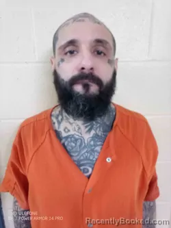 Mugshot of DUSTIN LEE