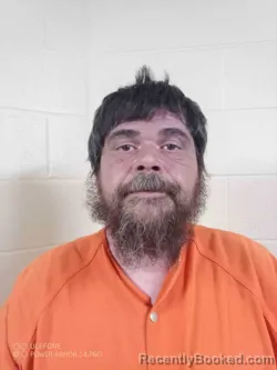 Mugshot of HENRY WILSON