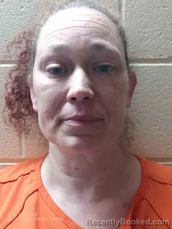 Mugshot of ELIZABETH LINVILLE